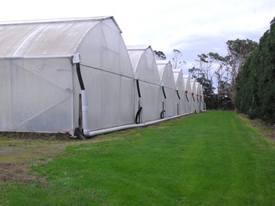 Greenhouses
