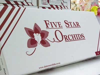 Five Star Orchids