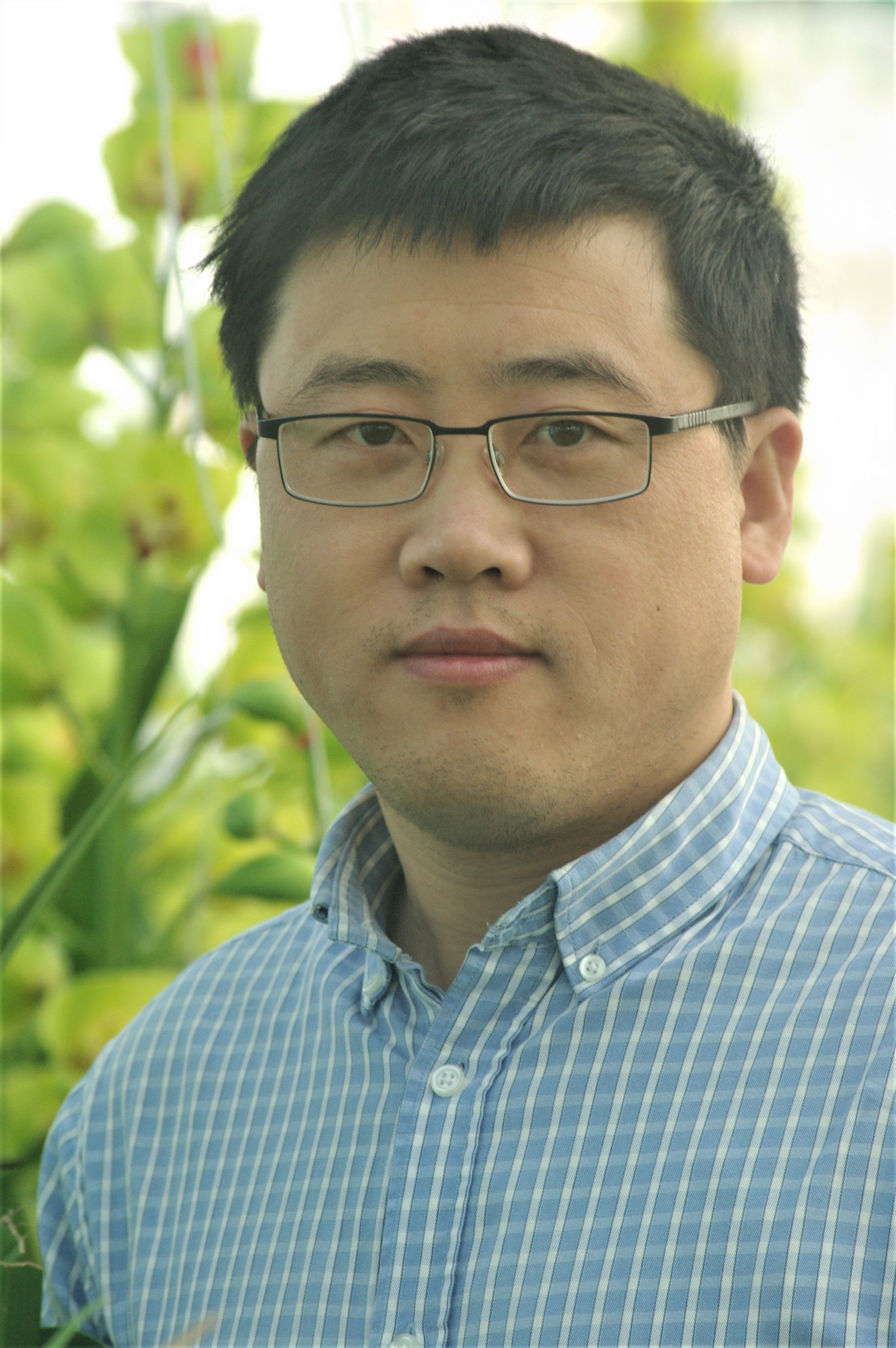 Yansong Zhou - Greentec Laboratory Tissue Culture Technician